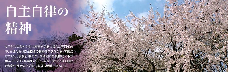 app糖果派对下载